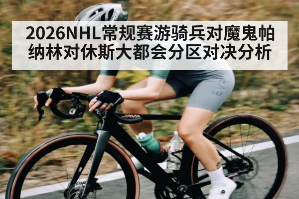 2026NHL常规赛游骑兵对魔鬼帕纳林对休斯大都会分区对决分析